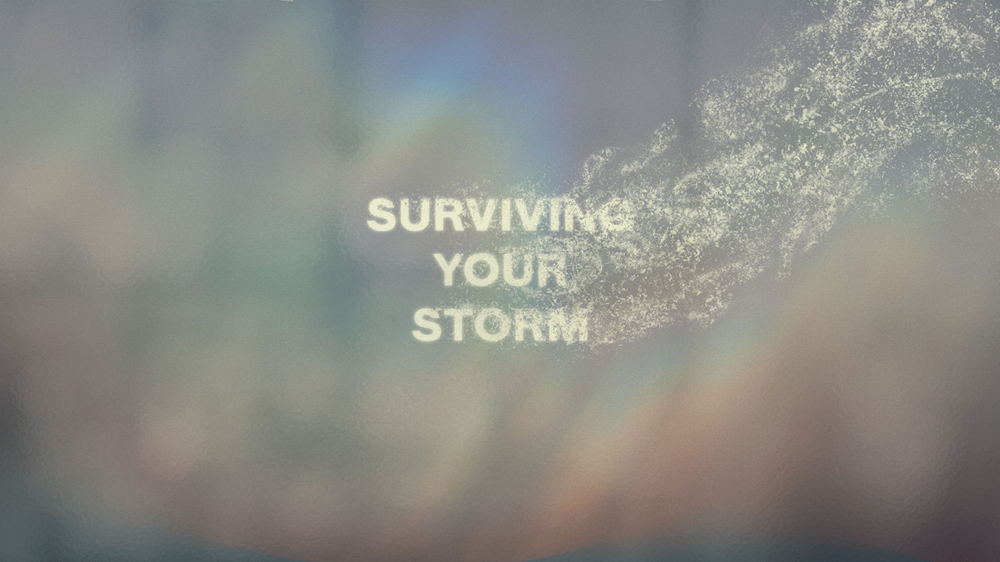 Surviving Your Storm